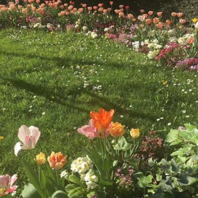 芭比梦幻魔法屋游戏下载
