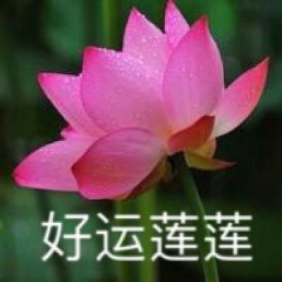 舞动全城九游版本下载